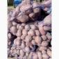 Продаем семенной картофель - фото № 2
