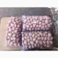 Продам качественный товарный и семенной картофель - фото № 1