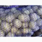 Семенной картофель Аризона 1-2 репродукция - фото № 1