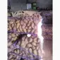 Продам товарный картофель - фото № 1