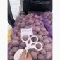 Продам семенной картофель сорта Пикасо. Крупный опт от 10 тонн. 2 репродукция - фото № 1