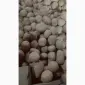 Продам картофель посевной сорта Беллароса - фото № 1