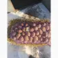 Продам картофель товарный сорта Беллароза и Гранада опт 20 тонн. Калибр 5+. Отличное качество - фото № 1