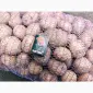 Продам картофель Ривьера посадочный 2 га репродукция - фото № 2