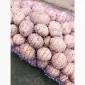 Продам картофель Ривьера посадочный 2 га репродукция - фото № 3