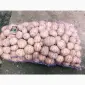 Продам картофель Ривьера посадочный 2 га репродукция - фото № 4
