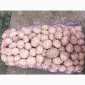 Продам картофель Ривьера посадочный 2 га репродукция - фото № 6