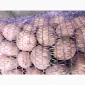 Продам картофель Ривьера посадочный 2 га репродукция - фото № 7