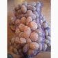 Продаю картоплю сорту Парадізо - фото № 1