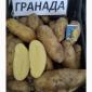 Продам картофель оптом разных сортов - фото № 1