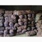 Продам картофель товарный - фото № 1