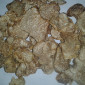Продаж сушеного білого трюфеля - фото № 2