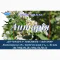 Насіння гречки Антарія (БН - фото № 1