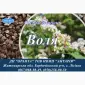 Насіння гречки Воля (БН - фото № 1