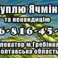 Закупівля ячменю за високими цінами - фото № 1