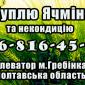 Элеватор закупает ячмень и некондицию - фото № 1