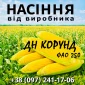 Насіння кукурудзи ДН Корунд ФАО 250 від Agro_Exprt - фото № 1