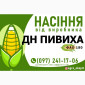 Гібрид кукурудзи ДН Пивиха (ФАО 180) від виробника - фото № 1