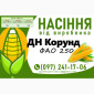Куплю насіння кукурудзи від виробника N1 - фото № 3