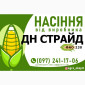 Гібрид кукурудзи ДН Страйд (ФАО 230) від виробника - фото № 1