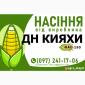 Гибрид кукурузы ДН Кияхи (ФАО 190) от производителя - фото № 1