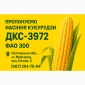Високоврожайний гібрид кукурудзи ДКС 3972 (ФАО 300) на продаж - фото № 1