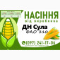 Продаж насіння кукурудзи ДН Сула (ФАО 310) 2025 року - фото № 1