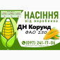 Продаж насіння кукурудзи ДН Корунд (ФАО 250) - фото № 1