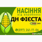 Гибрид кукурузы ДН Фиеста (ФАО 260) от производителя - фото № 1