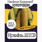 Продаж насіння Кукурудзи Кремінь 200СВ 25 кг - фото № 1
