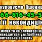 Элеватор закупает пшеницу 2, 3, 4 класса - фото № 1