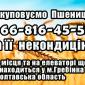 Закупка пшеницы 2, 3, 4 класса - фото № 1