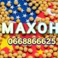 Семена сои Махони - фото № 1
