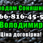 Продам соняшник!На постійній основі - фото № 1