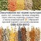 Купуємо кондитерський соняшник а також КРУПНОГО розміру гібридний смугастий та чорний - фото № 1
