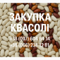Купуємо квасолю різних сортів - фото № 1