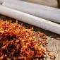 Низька ціна на супер тютюн!Герцоговина Флор - фото № 17
