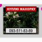 Ищу махорку от производителя - фото № 1