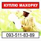 Куплю махорку от производителей - фото № 1