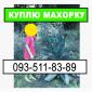 Махорка ее остатки и другое - фото № 1