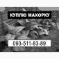 Махорка оптом - фото № 1