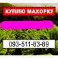 Куплю махорку з вашого городу - фото № 1