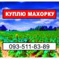Махорка - Ваша - фото № 1