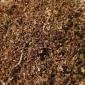 Продается Угорский табак для сигарет - фото № 1