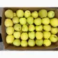 Продаются яблоки из холодильника: Чемпион, Голден, Моди, Лиголь - фото № 7