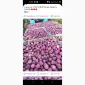 Яблоки из холодильника - фото № 4