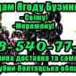 Продам бузину сезон 2025! Цена договорная! Любой объем - фото № 1