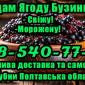 Продажа Бузины на опт! Цена договорная! Детали по телефону - фото № 1