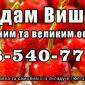 Продаю вишню - фото № 1
