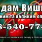 Реализую вишню - фото № 1
